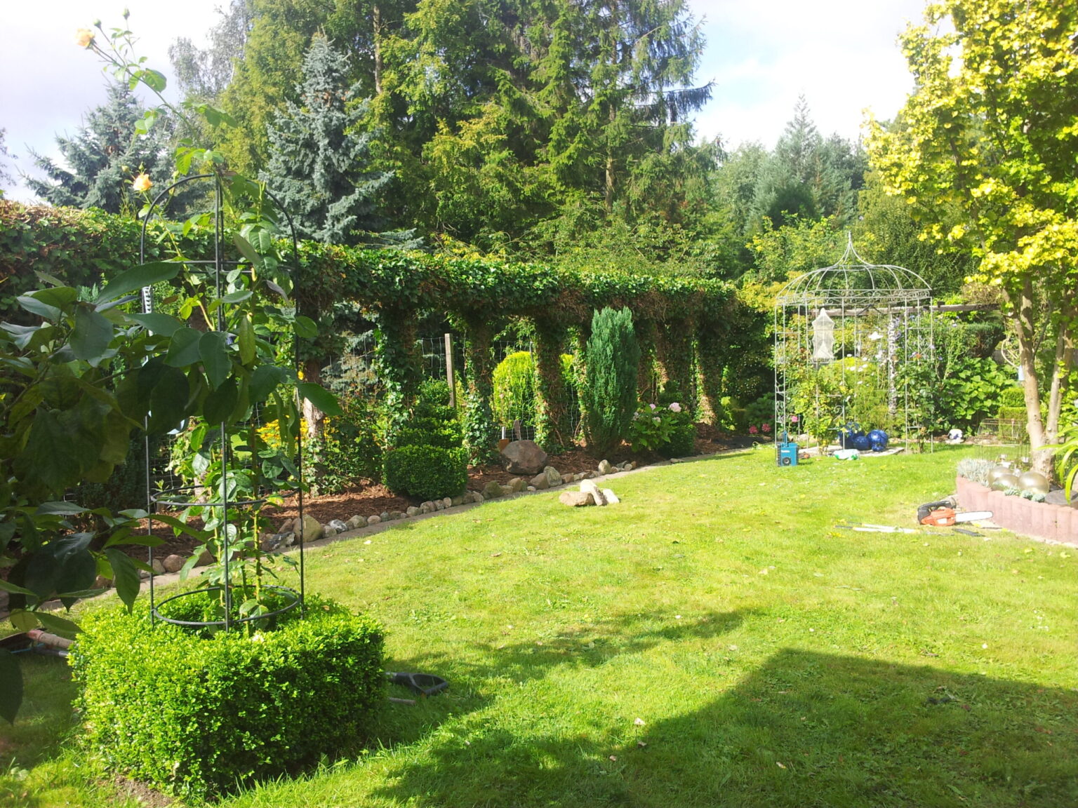 Hecken und Rasenpflege im Herbst