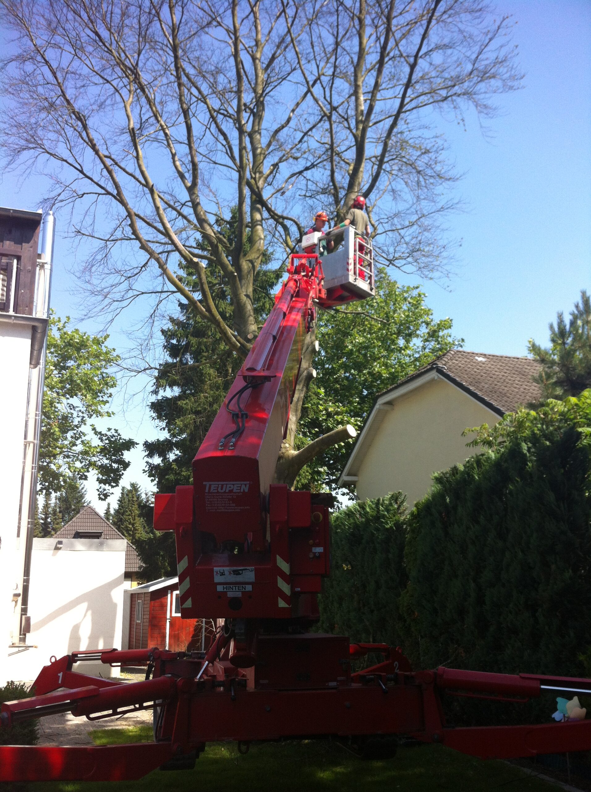 Hebebuehne im Einsatz einer Baumpflege