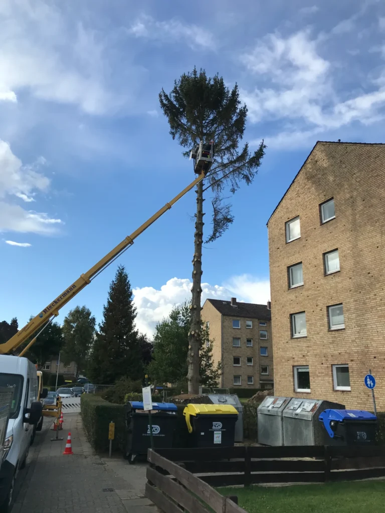 Ein Mitarbeiter von HGB Holz und Gartenbau entfernt Äste eines hohen Baumes mithilfe einer gelben Arbeitsbühne vor einem Wohnhaus.