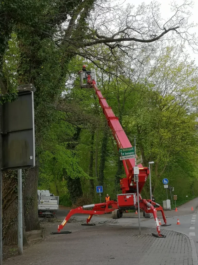 Mitarbeiter von HGB Holz und Gartenbau GbR bei der Baumpflege mit einem roten Hubsteiger an einem großen Baum in Lensahn.
