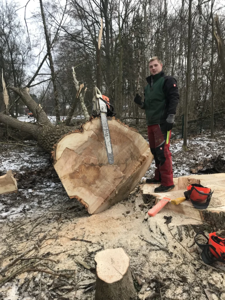 Ein Mitarbeiter von HGB Holz und Gartenbau steht neben einem gefällten Baumstamm mit einer Kettensäge und gibt einen Daumen hoch.