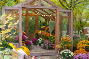 Idee Herbst Gartenbau für ein Gartenhaus. Viele bunte Pflanzen stehen in einem Gewächshaus.