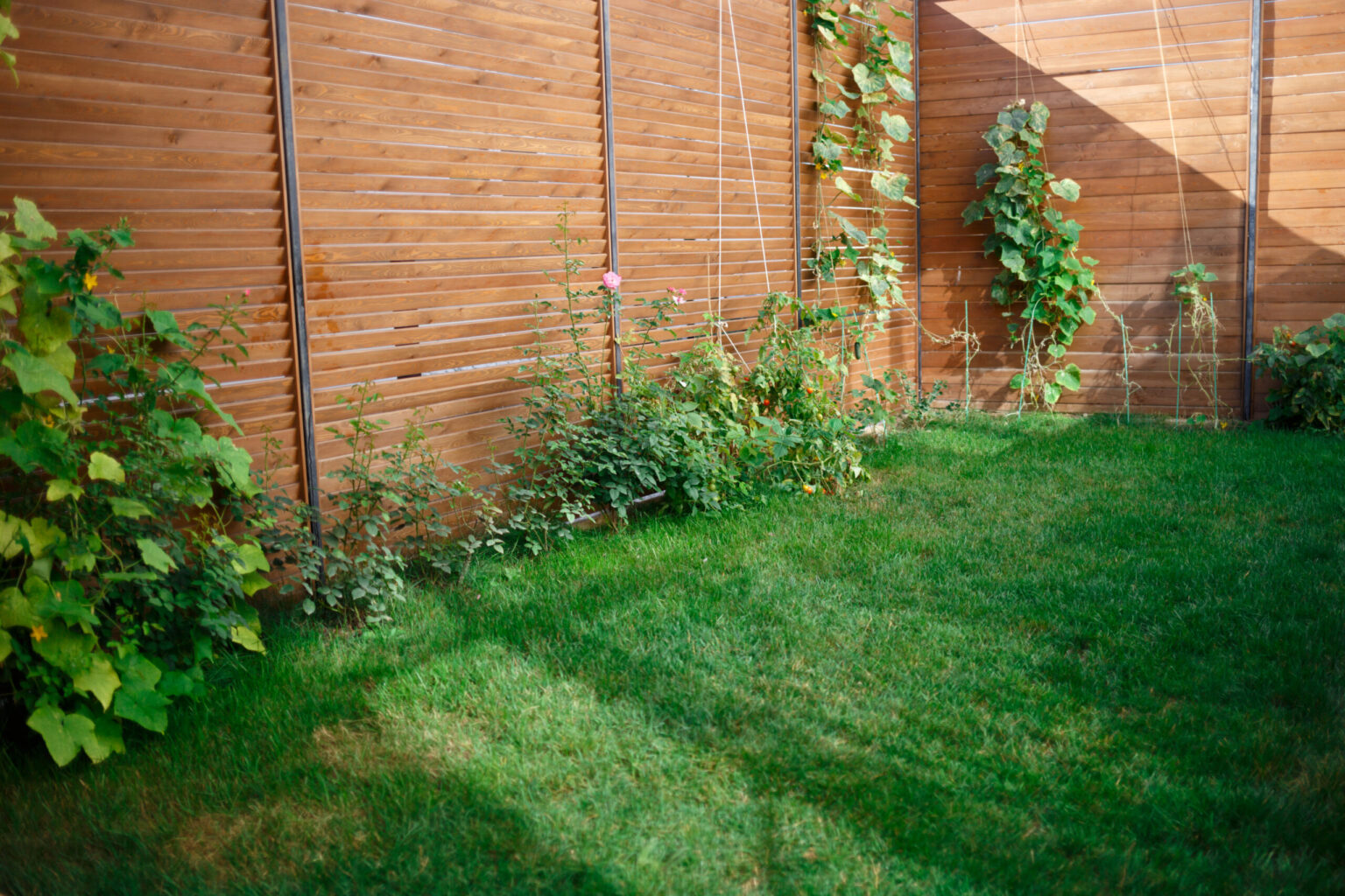 Sichtschutz Garten Ideen.